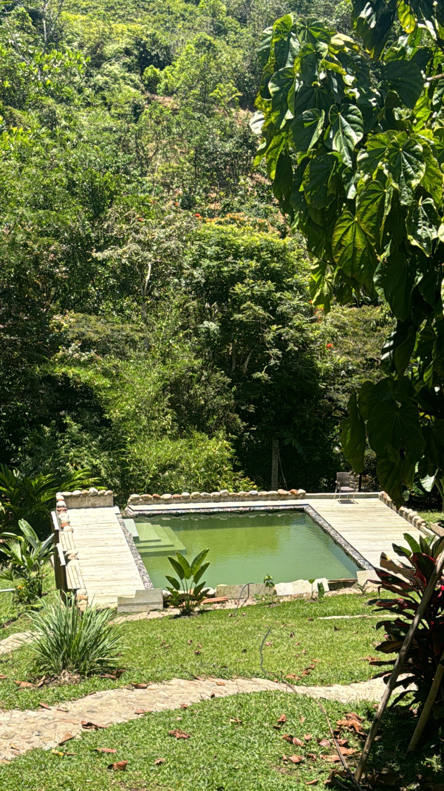 Image gallery image